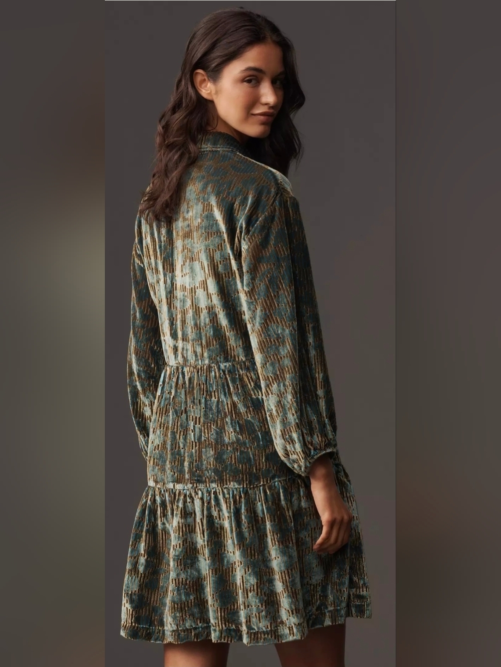 Anthropologie Bettina Velvet Floral Shirt Dress - Picture 2 of 8